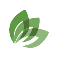 Mind and Beyond Logo